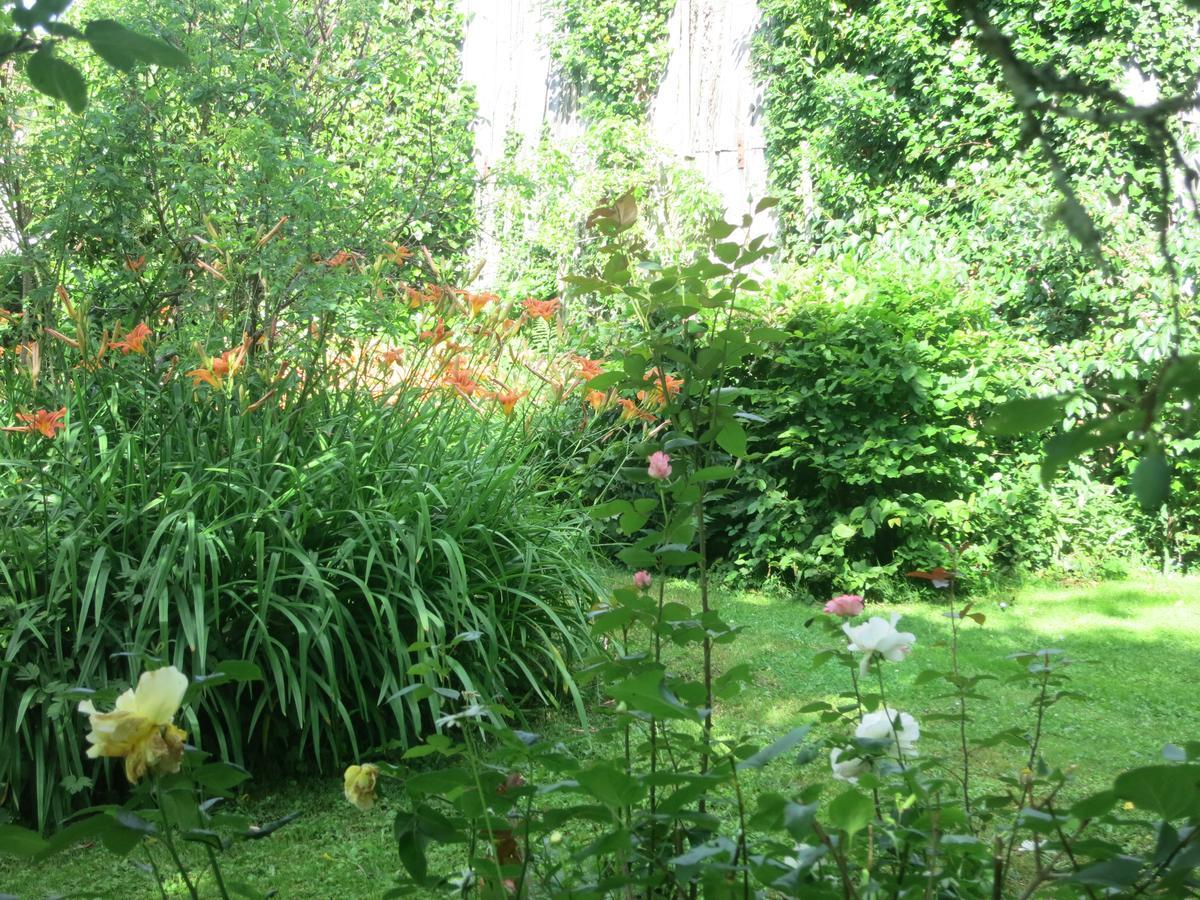Les Jardins De Lily Saint-Léonard-de-Noblat Exterior photo
